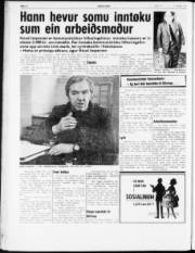 Síða 8