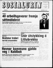 Síða 1