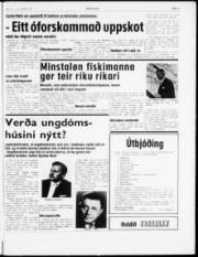 Síða 3