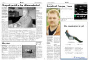 Síða 8