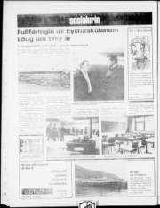 Síða 4