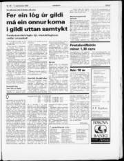 Síða 5