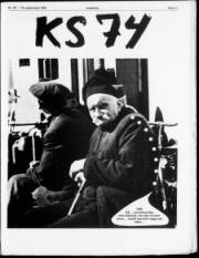 Síða 11