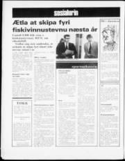 Síða 6