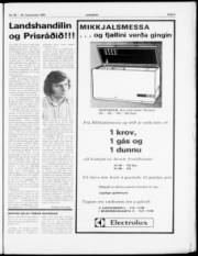 Síða 5