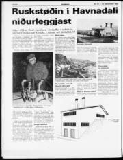 Síða 6