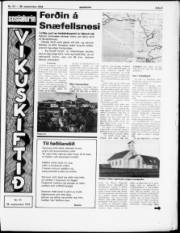 Síða 9