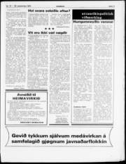 Síða 11