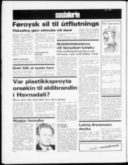 Síða 6
