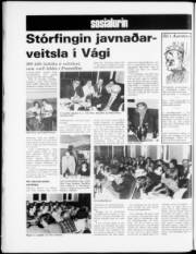 Síða 6