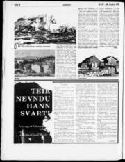 Síða 17