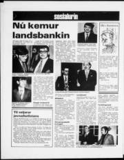 Síða 6