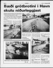 Síða 6