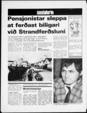 Síða 6