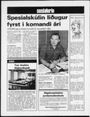Síða 12