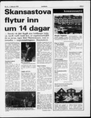 Síða 3