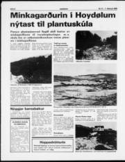 Síða 6