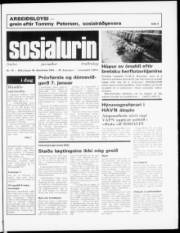 Síða 1