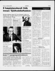 Síða 3