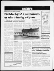 Síða 6