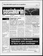 Síða 1