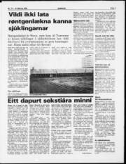 Síða 3
