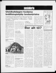 Síða 6