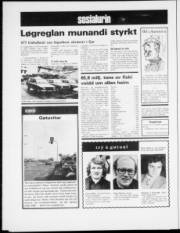 Síða 6
