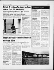 Síða 3