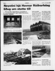 Síða 6