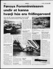 Síða 6