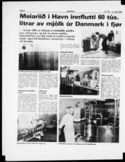 Síða 6