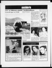 Síða 12