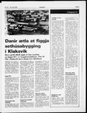 Síða 3