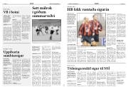 Síða 8