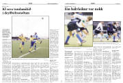 Síða 10