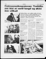 Síða 6