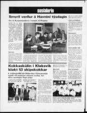 Síða 12