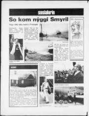 Síða 12