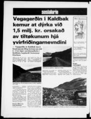 Síða 12