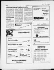 Síða 6