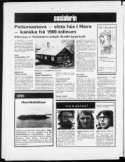 Síða 12