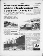 Síða 6