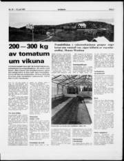 Síða 7