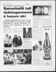 Síða 3