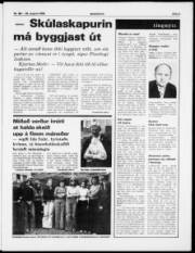 Síða 3