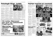 Síða 6