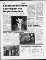 Síða 6