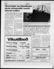 Síða 6