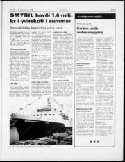 Síða 3